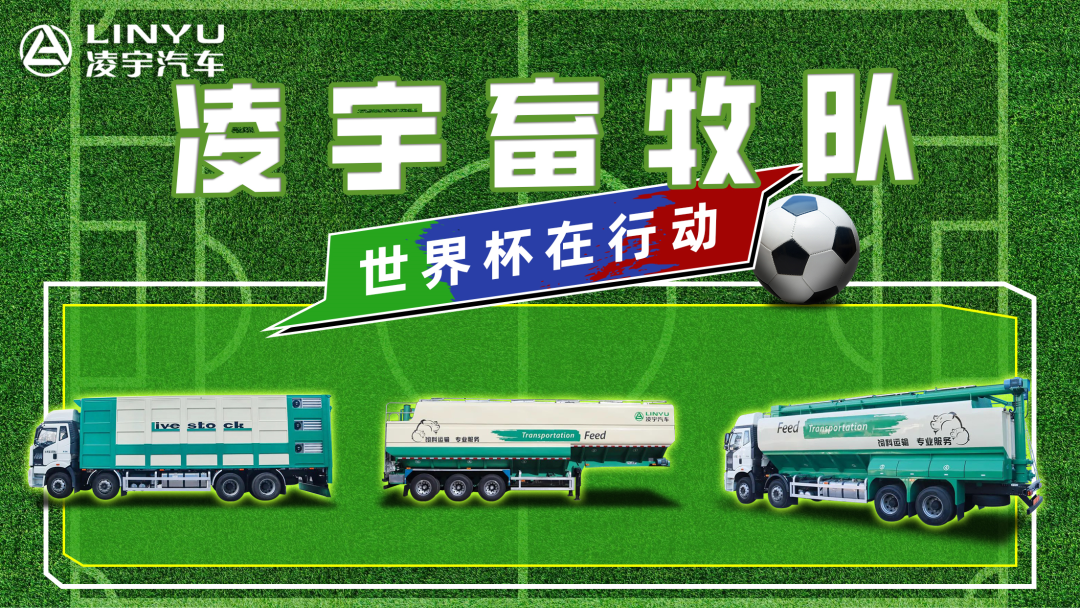 奪冠世界杯！你注意到這支球隊了嗎？